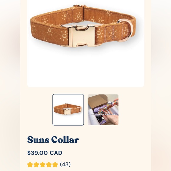 Sniff & Bark dog collar | SMALL | yellow ochre sun print - Picture 2 of 4